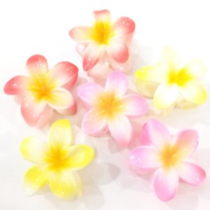 Broches Hawai