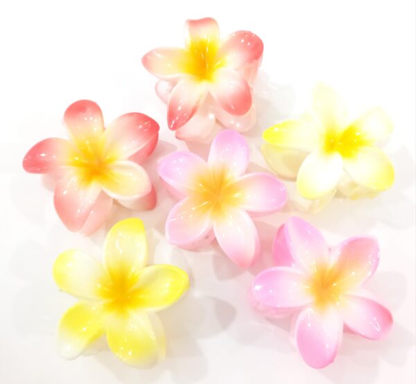 Broches Hawai