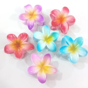Broche Hawai