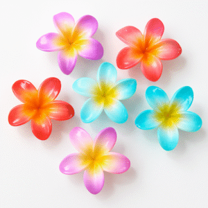 Broche Hawai